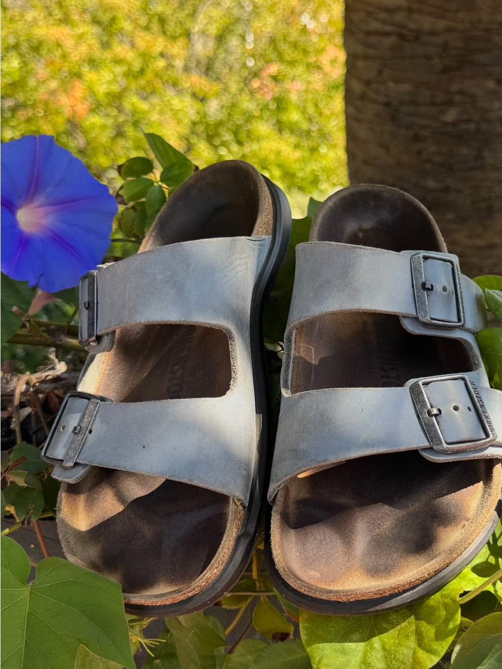 Birkenstock Arizona Women’s Double Buckle Sandals- Blue - Size 8